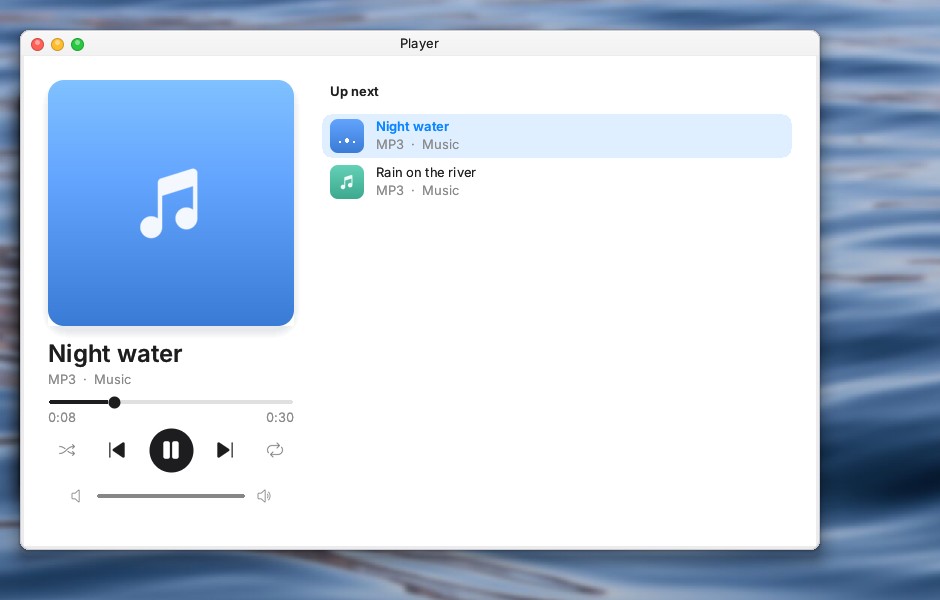 The media player
